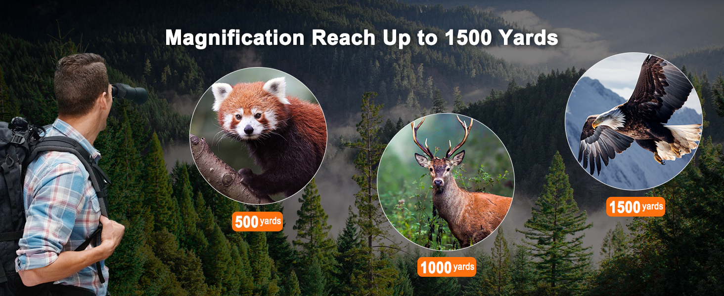 10-30x50 Zoom Binoculars