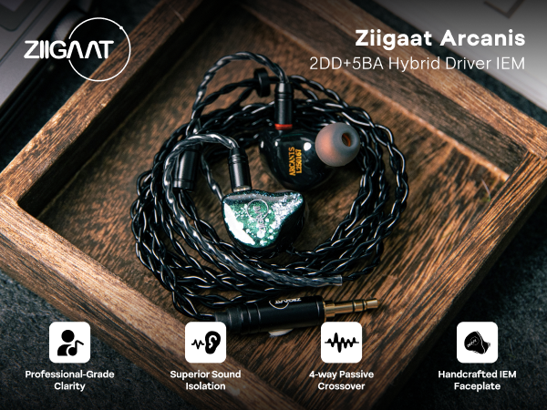 Amazon.co.jp: Linsoul ZiiGaat Arcanisハイブリット型(2DD+5BA