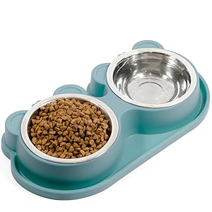comedero gato doble de color verde azulado con comida y agua