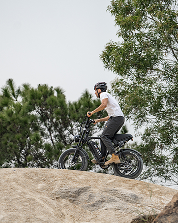 electric bicycle