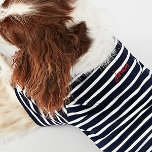 Joules Harbour Top