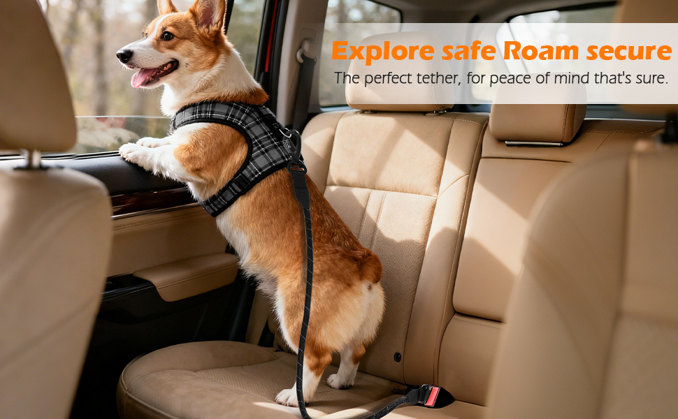 dog seatbelt harness for car