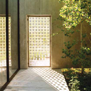 a door with criss crossing light filtering through from beyond the garden