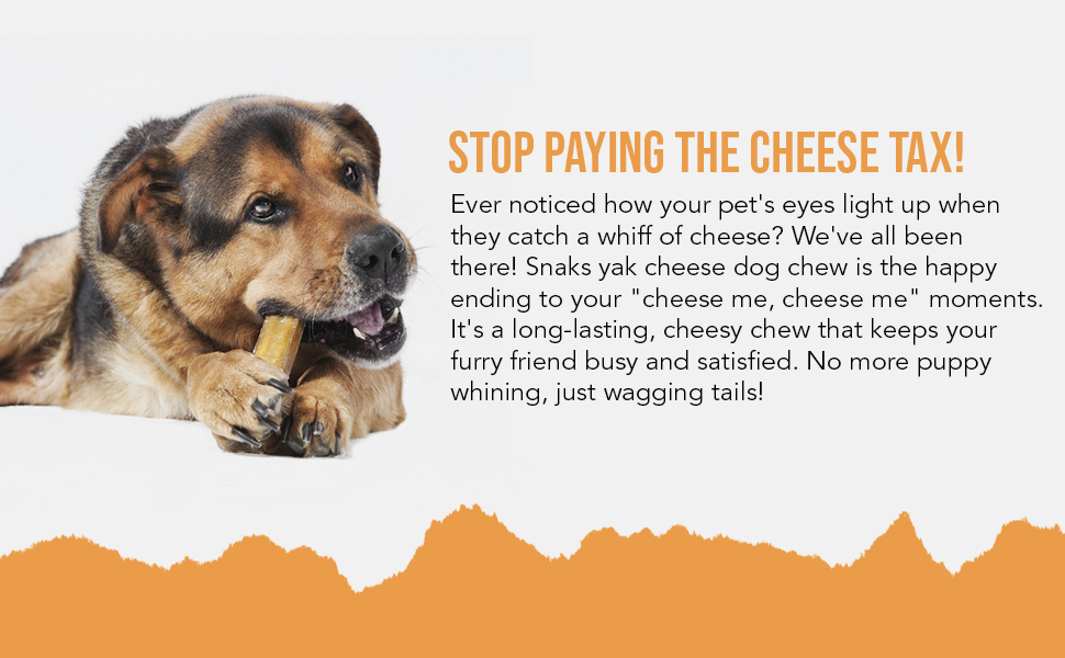Yak Cheese Dog Chew