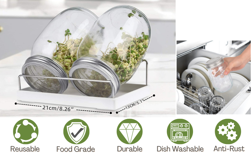 Vamotto 2 Pack Seed Sprouting Jar Kit1L Wide Mouth Quart Mason Jars