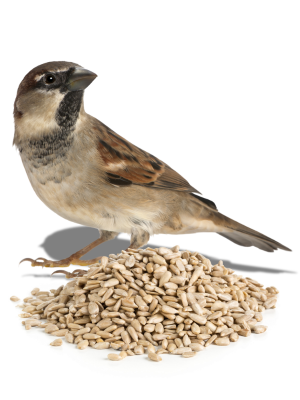 Small manufacture image 2