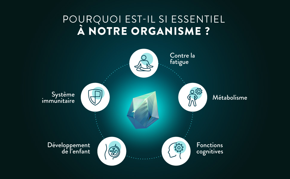 en français expliquant l'importance d'un élément non spécifié pour le corps. Affiche des icônes pour la fatigue, le système immunitaire, le développement de l'enfant, le métabolisme et les fonctions cognitives.