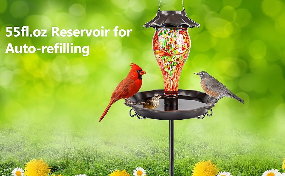 55 fl.oz Reservoir for Auto-refilling