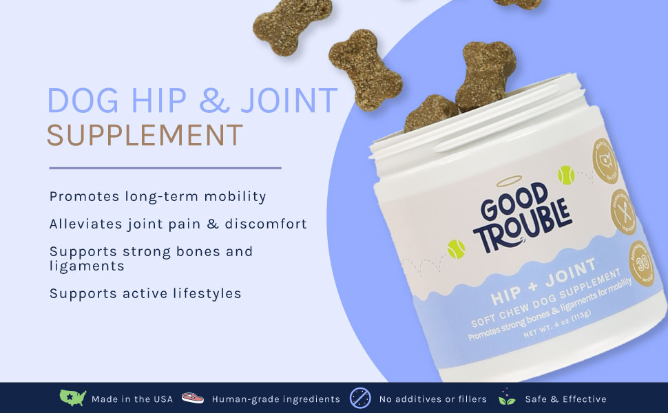 Hip & Joint 