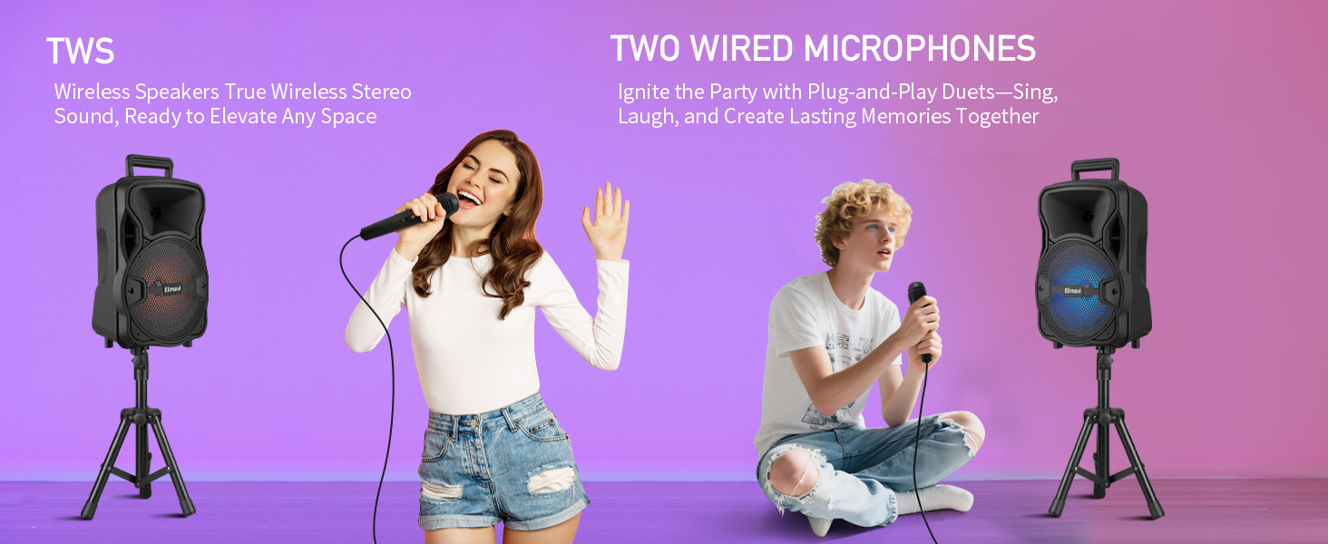 TWS, TWO WIRED MICROPHONES