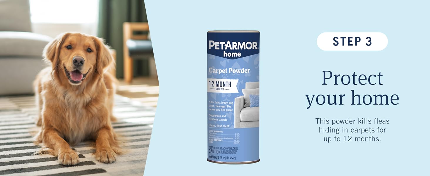 Step 3: Protect your home