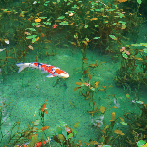 Small manufacture image 4