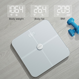 digital weight scale