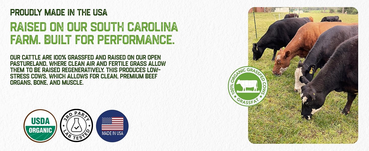 womens vitamins immune energy pills hair loss blood balance fertility joint organs wellness formula