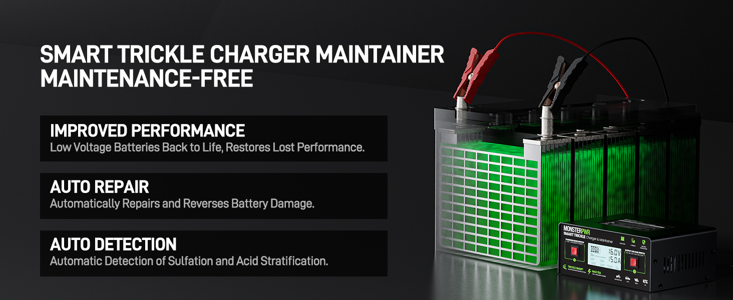 deep cycle battery charger