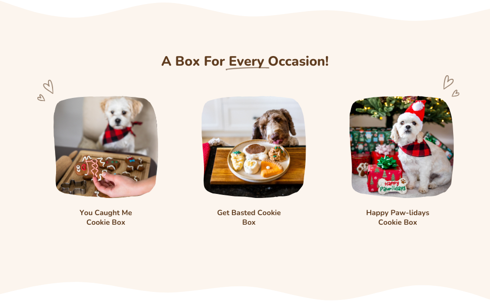 Wufers Advent Calendar for Dog Cookie Box Handmade Hand