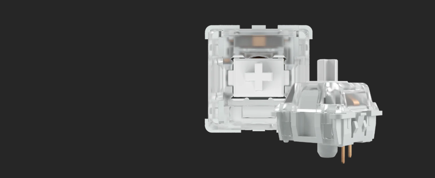 Glorious Gaming GMMK, Mechanisches Gaming-Keyboard, Gateron Brown Schalter, Doubleshot-Kappen