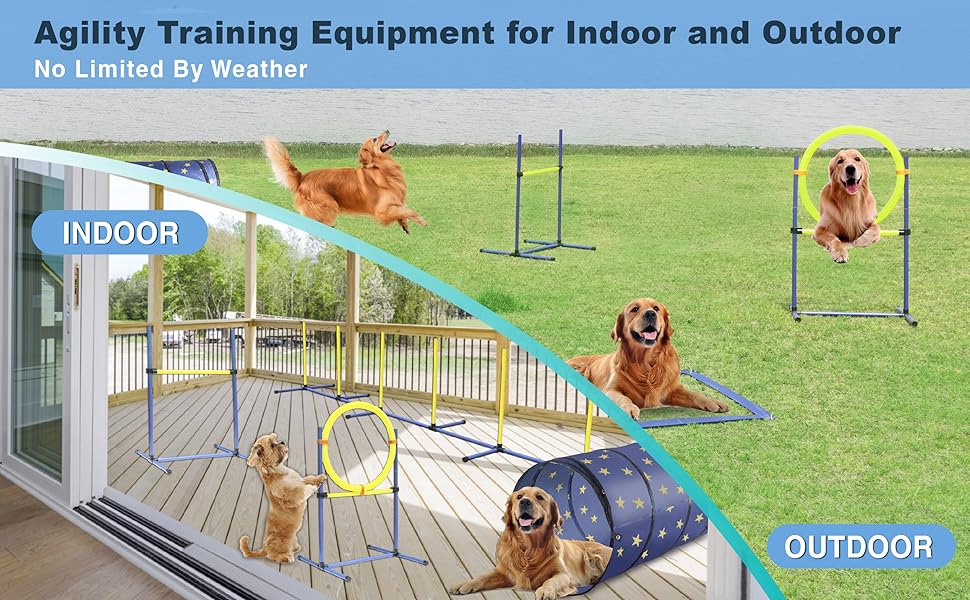 dog agility training