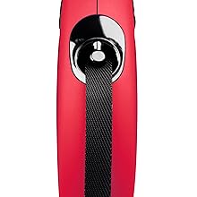 dog leash for medium dogs