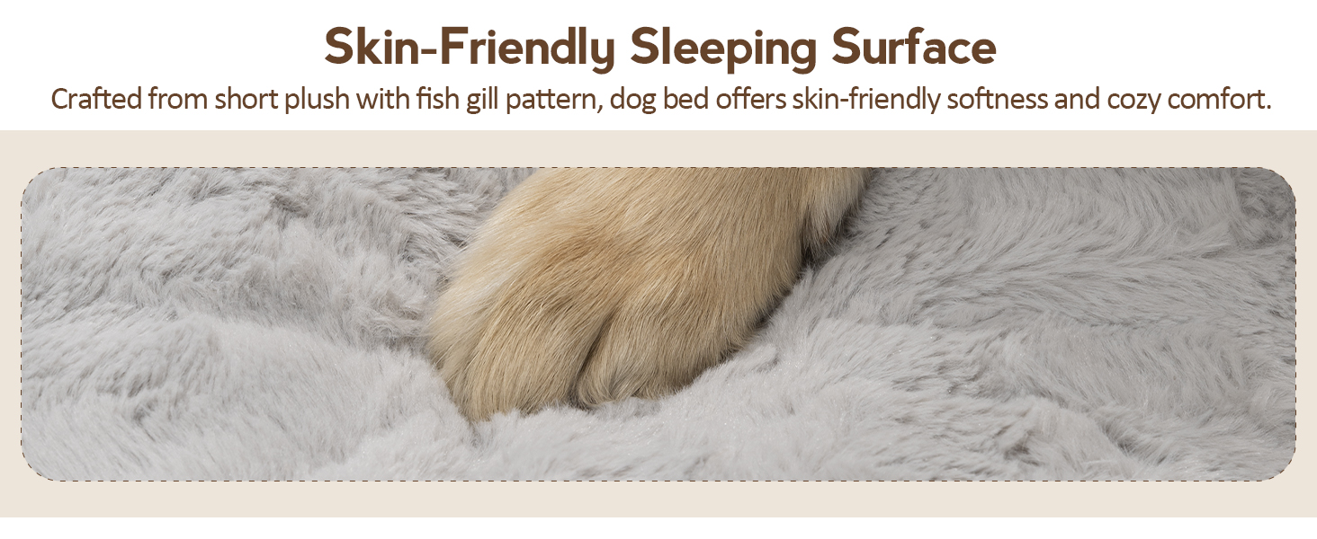 dog bed large