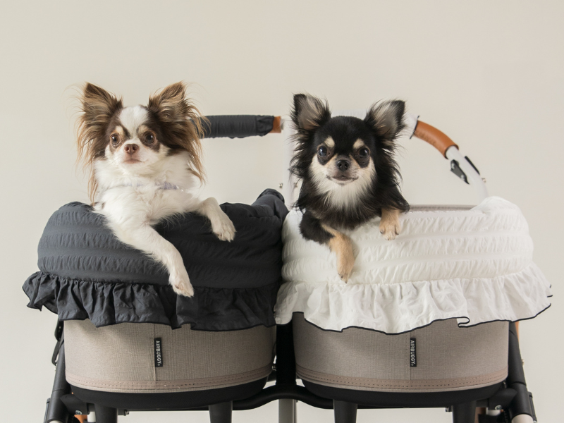大きいサイズ　あごのせ　多頭飼い　フリル　あごおき Amazon.co.jp: ペットカート用 あごのせクッション コンフォー