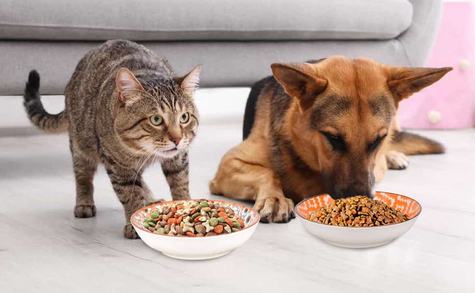 cat bowls, cat food bowl, cat dishes, cat food dish, ceramic cat bowl, whisker fatigue cat bowl