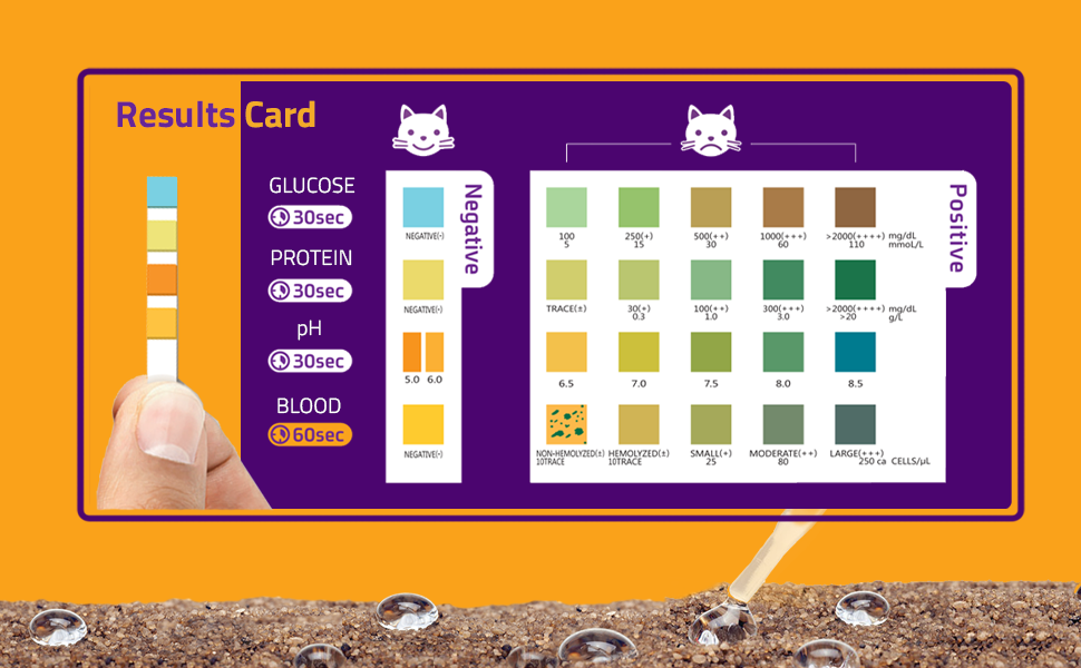 CheckUp at Home Wellness Test for Cats Hydrophobic