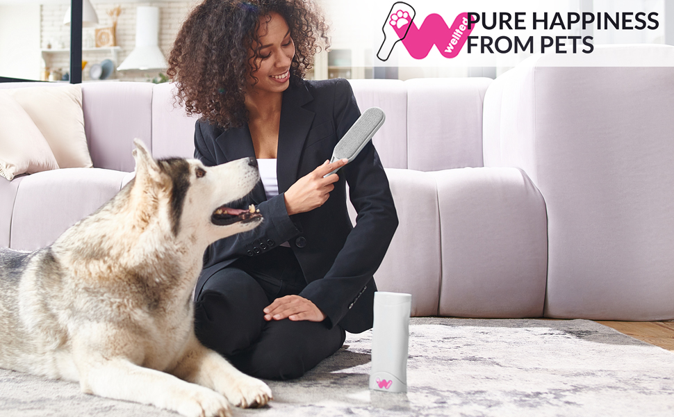 cat hair remover pet hair remover for couch dog hair brush pet brush carpet brush cat hair brush