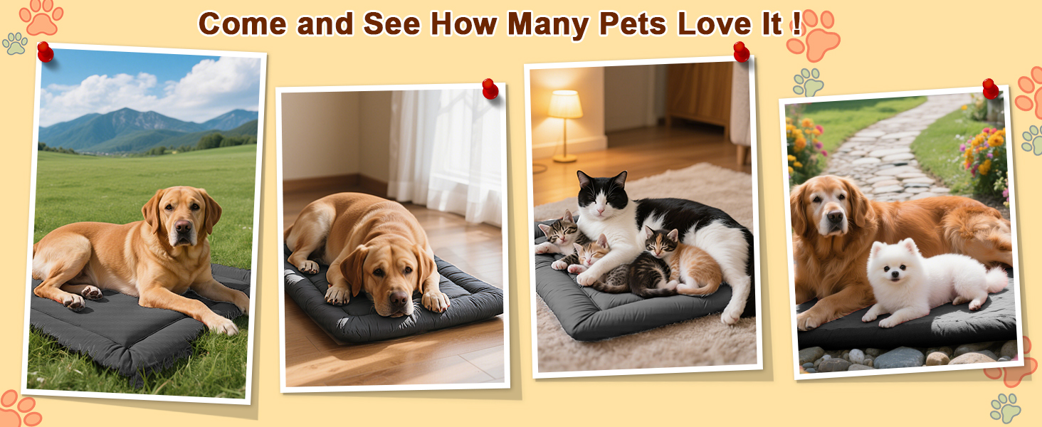 outdoor dog bed waterproof