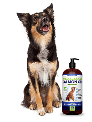 wild alaskan salmon oil
