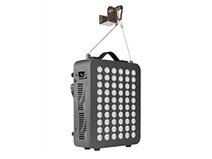  Rood licht infraroodlamp voor lichaam