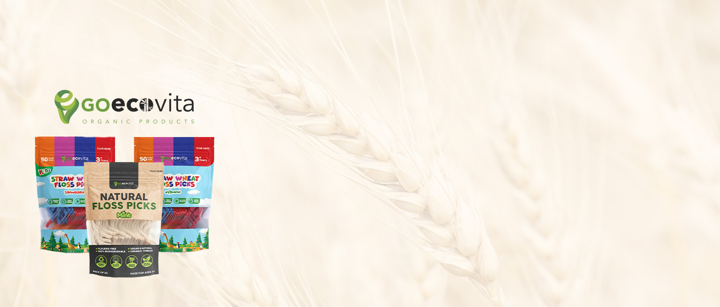 floss picks dental toothpicks flossers sticks teeth tooth adults plackers mint strawberry