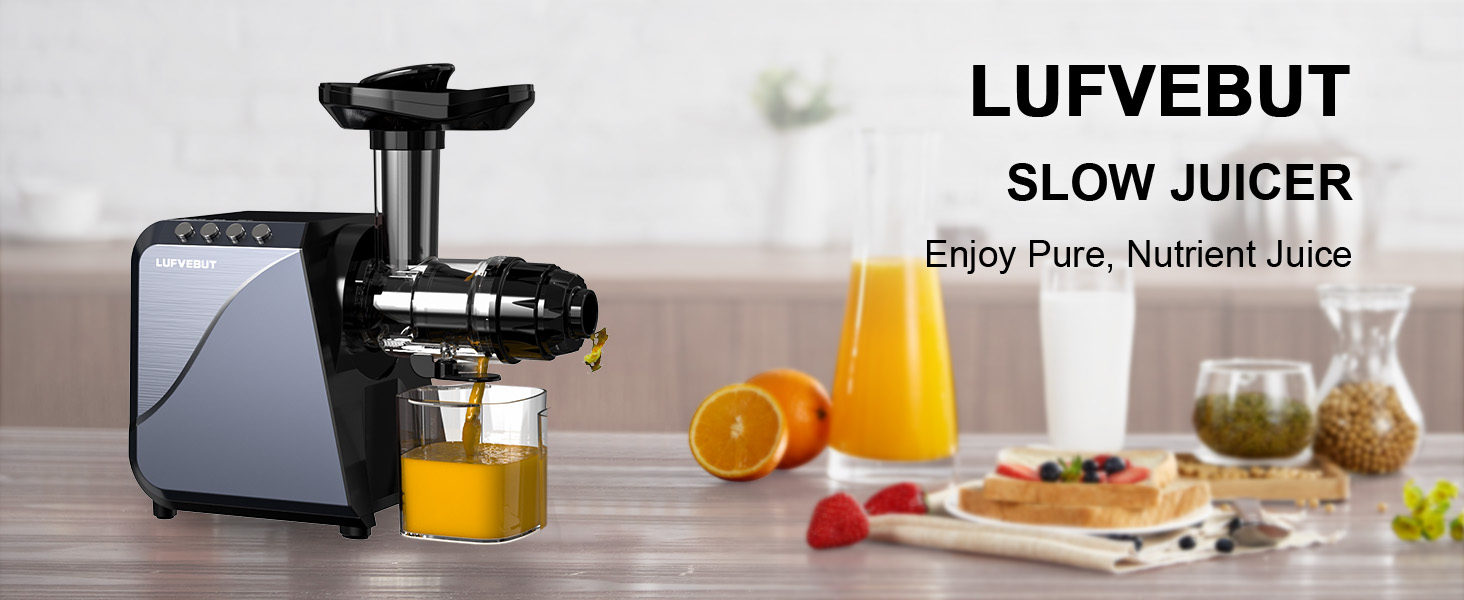 Slow Juicer Cold Press Celery Ginger Carrot, Fruit and