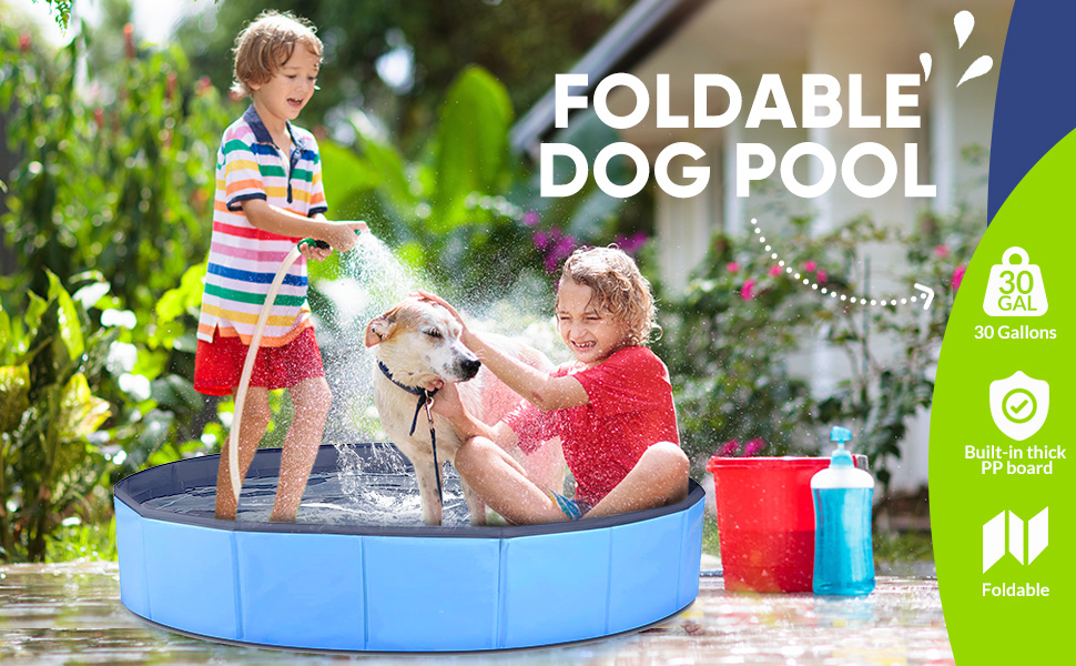 dog pool