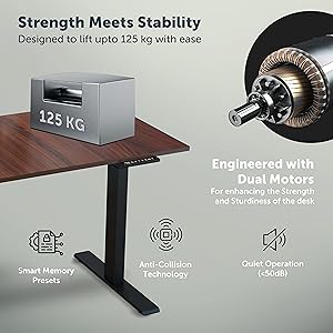 JIN OFFICE Titan Premium Dual Motor 3-Stage Electric Height