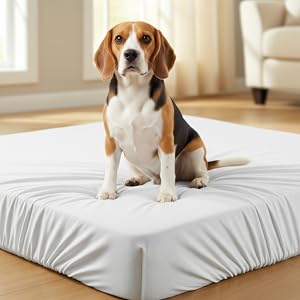 Disposable dog bed fitted sheets