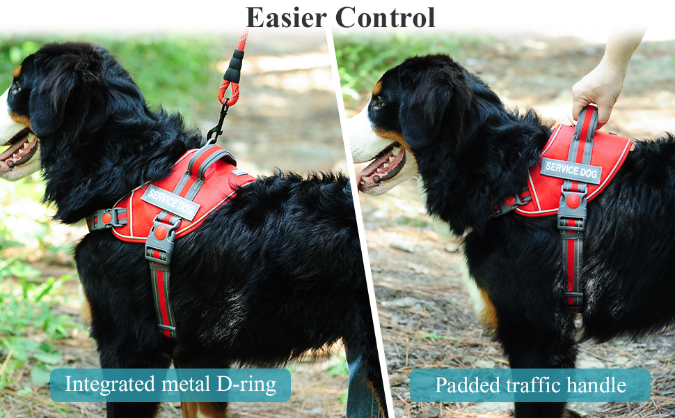VIVAGLORY Service Puppy Vest Harness, No Pull Easy On