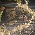 fairy garden accessories