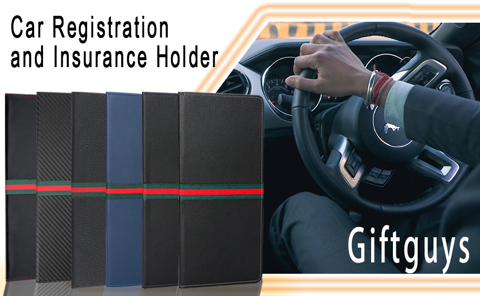 Giftguys Car Registration and Insurance Holder