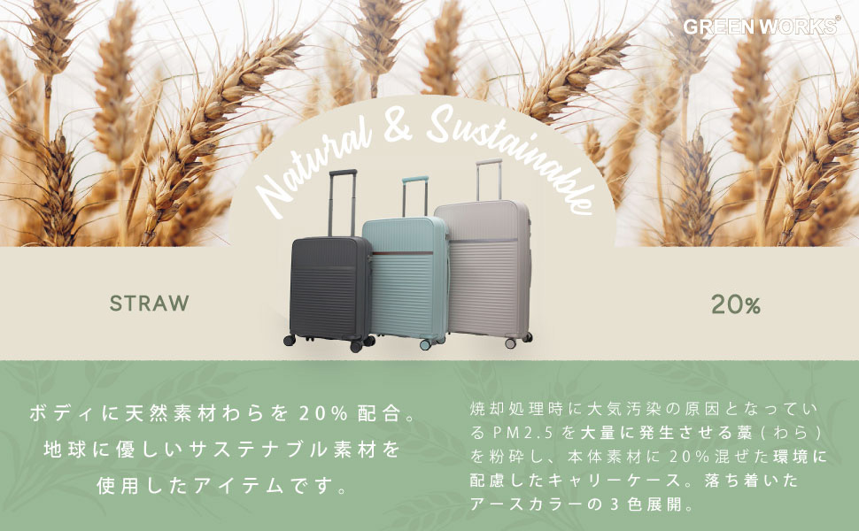 Amazon | [シフレ] スーツケース ハードジッパー グリーン