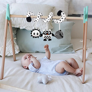baby stroller toy