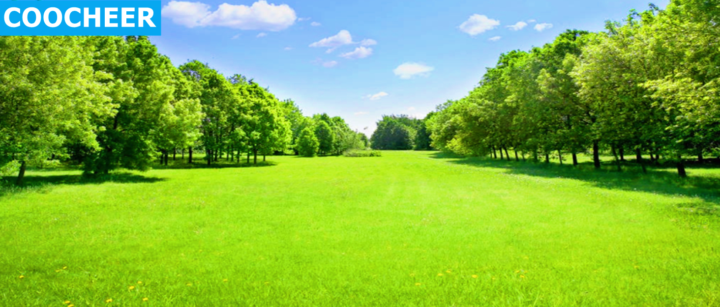 Pole Saws Gas Powered 58CC 2 Cycle 16 Foot Extendable Pole Saws for Tree Trimming