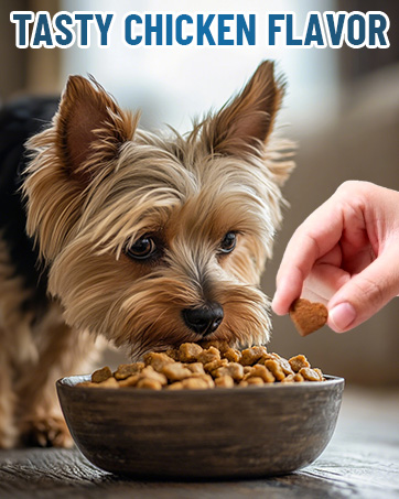 dog probiotic chewable