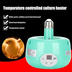 Poultry Heat Lamp