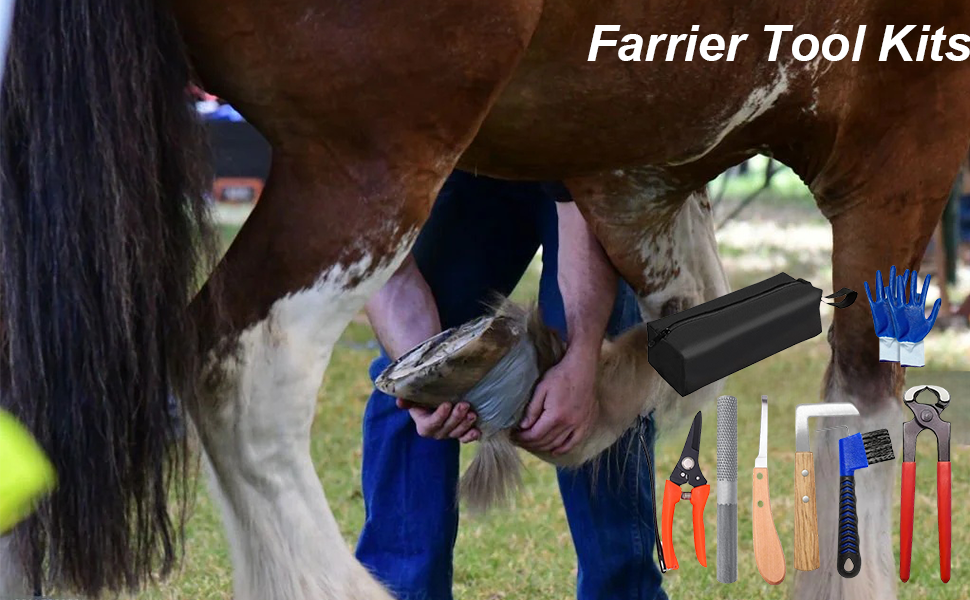 Farrier Tool Kits