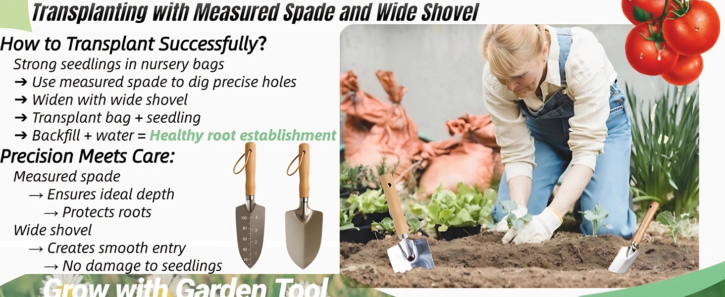 Transplanting with Measured Spade and Wide Shovel