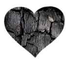 activated charcoal teeth whitening
