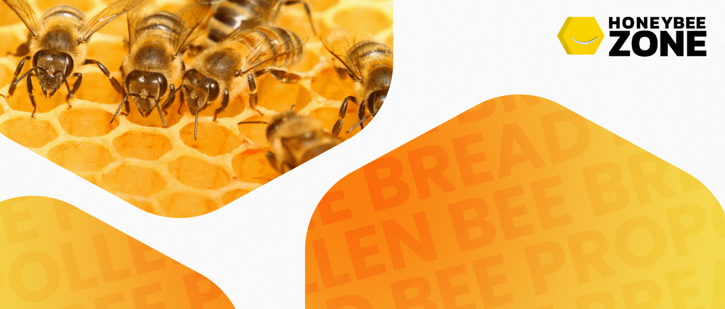 Honeybeezone bee pollen fermented pollen bee bread perga propolis royal jelly bee pearl honey
