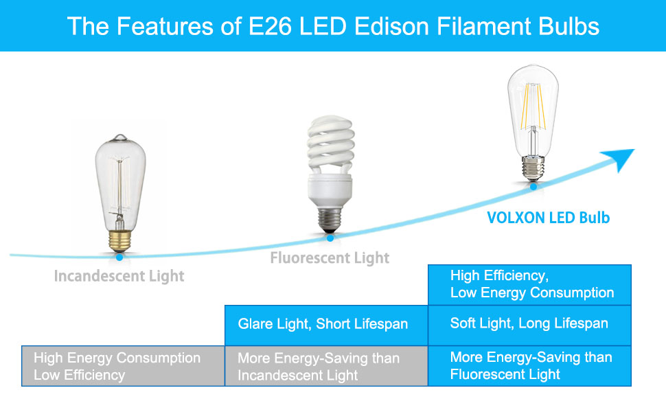 Volxon LED Edison Bulbs 60 Watt Equivalent, E26 Incandescent Light Bulbs Replacement 800LM