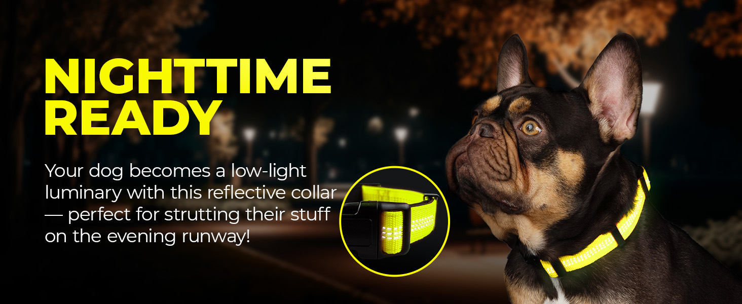 Reflective Dog Collar